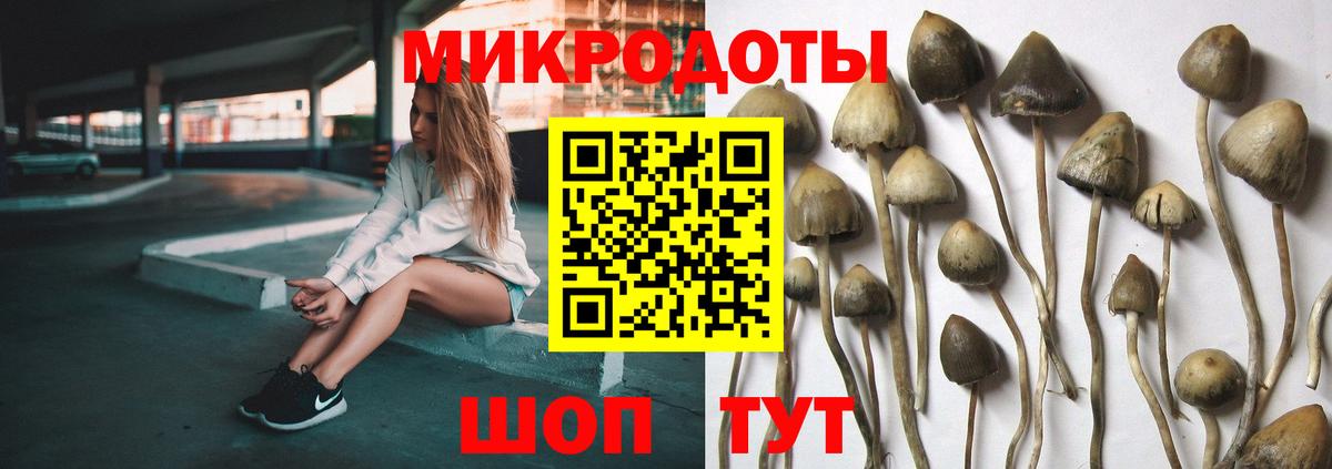 Галлюциногенные грибы Psilocybine cubensis  Псилоцибиновые грибы мухоморы  Кузнецк  Вход с VPN 